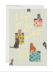 Kittens Birthday Card