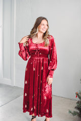 Holly Grace Velvet Dress