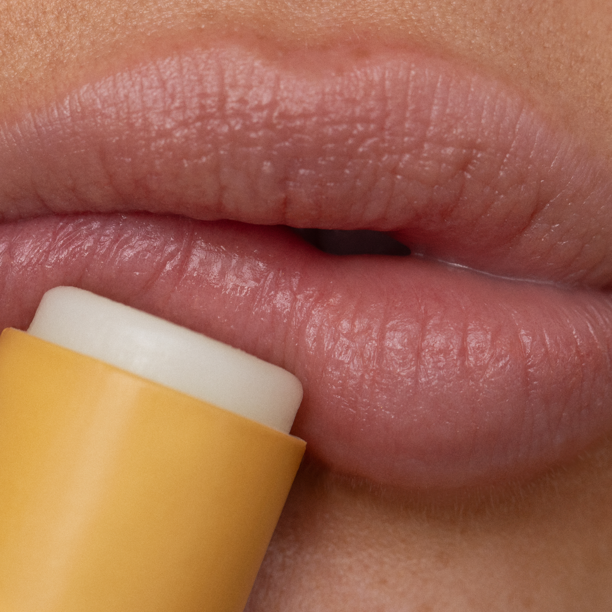 Lip Balm Wild Honey