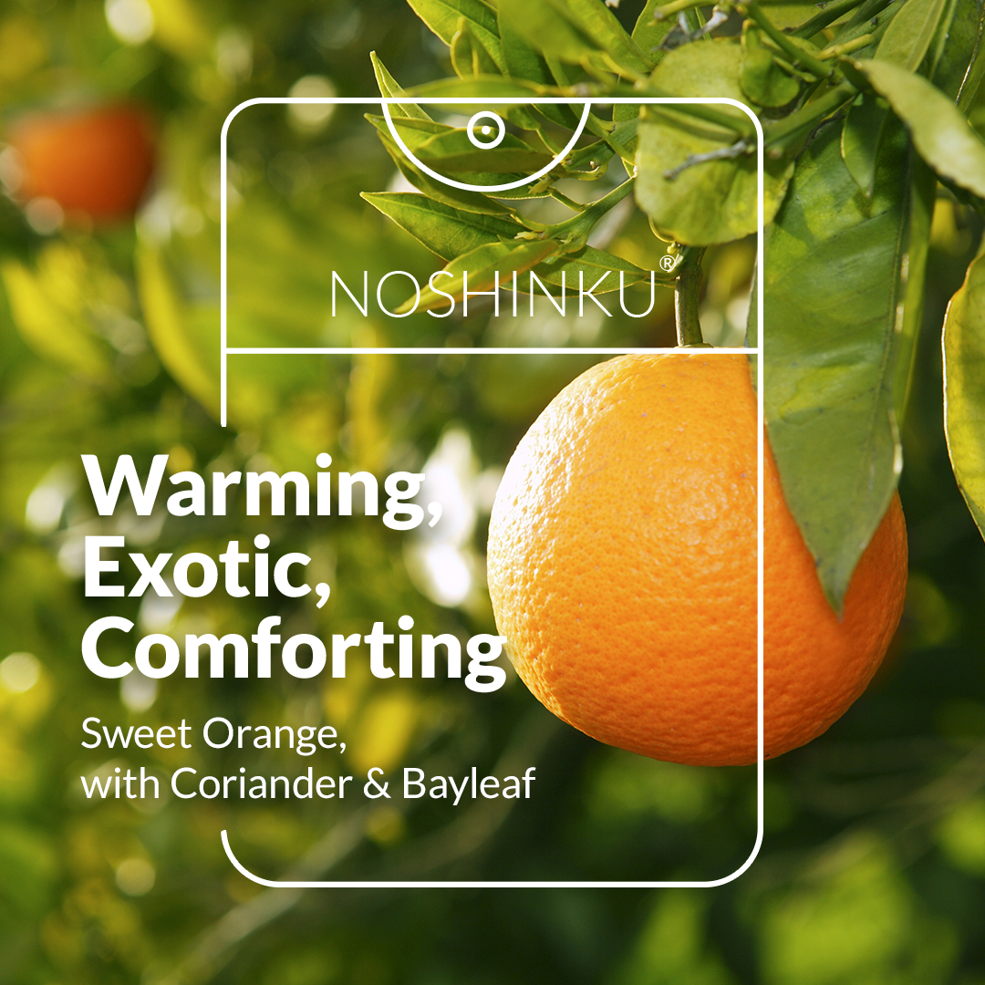 Orange Coriander Sanitizer Refill Pouch