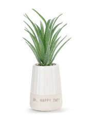 Happy Day Mini Succulent