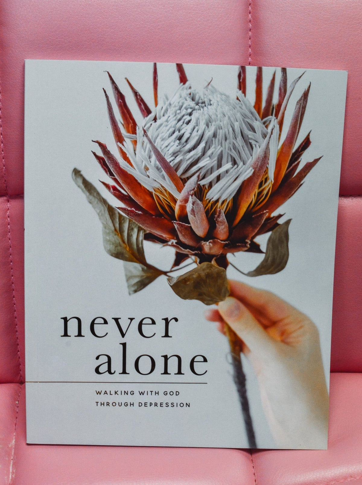 Never Alone Study