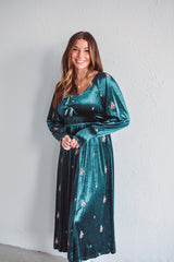 Garden Grace Velvet Dress