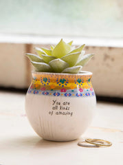 Natural Life Amazing Succulent