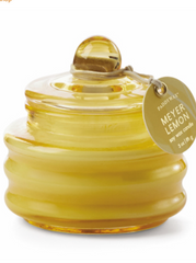 Meyer Lemon Beam Candle
