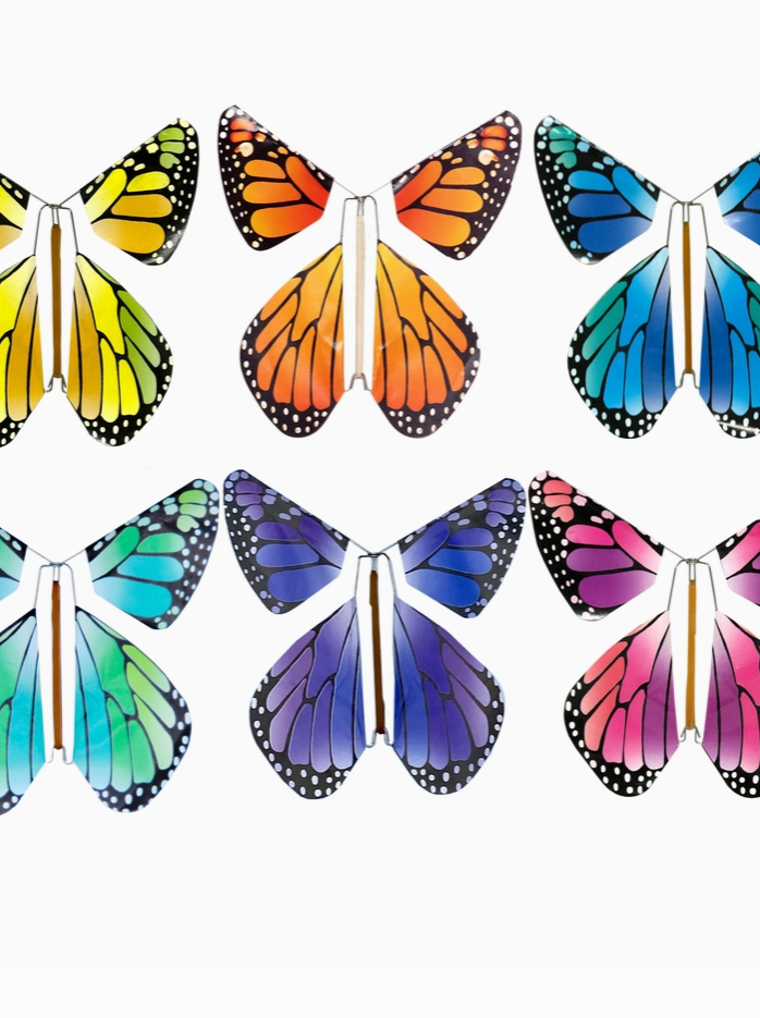 Magic Rainbow Butterfly