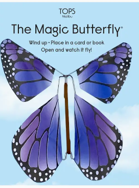 Magic Rainbow Butterfly
