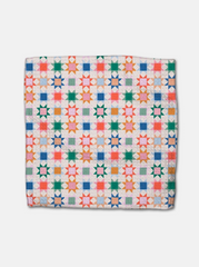 Picnic Dishcloth Set